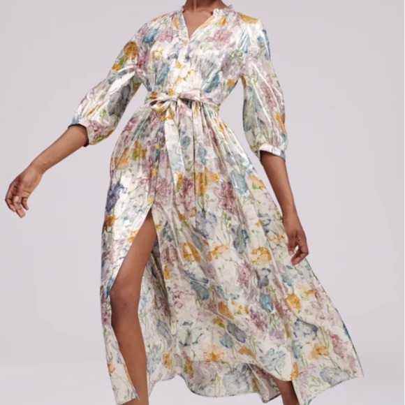 hayley Menzies Dresses & Skirts - Hayley menzies Bonita dress medium